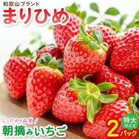 【ふるさと納税】 特大まりひめイチゴ 朝摘 6個〜11個入×2パック【2026年1月中旬〜3月末頃に順次発送】【先行予約】【KT3】