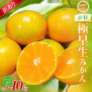 【ふるさと納税】【訳あり】 森本農園の手選別 極早生小粒みかん 約2〜10kg 和歌山県産 【北海道・沖縄・離島配送不可】【2025年10月上旬〜下旬頃に順次発送】【BV-mrmt056-059】
