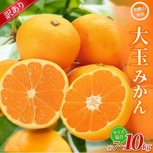 【ふるさと納税】【訳あり】 森本農園の手選別 大玉みかん 約7〜10kg 和歌山県産 【北海道・沖縄・離島配送不可】【2025年11月上旬〜2026年2月中旬ごろに順次発送】【BV-mrmt072-073】