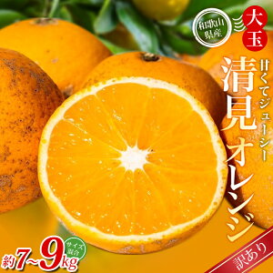 �y�ӂ邳�Ɣ[�Łz �y�󂠂�z �X�{�_���̎�I�� ��ʐ����I�����W ��7kg 9kg �a�̎R���Y �T�C�Y���� �y�k�C���E����E�����z���s�z�y2026�N2����{�`5�����{���ɏ��������z�yBV-mrmt077-078�z