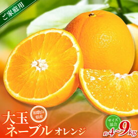 【ふるさと納税】【家庭用】 森本農園の手選別 大玉ネーブルオレンジ 約4～9kg 和歌山県産 サイズ混合 【北海道・沖縄・離島配送不可】【2027年1月上旬～2月中旬頃に順次発送】