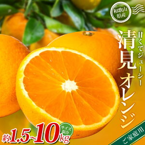 yӂ邳Ɣ[Łz yƒpzX{_̎I IW  1.5kg 4.5kg 6kg 8kg 10kg TCYy2026N2{`5{ɏz IW k t[c ʕ  { Yn 
