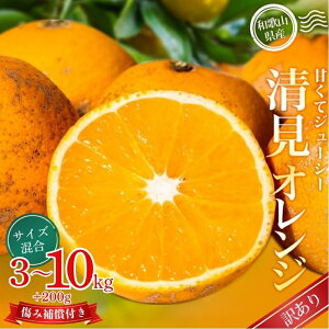 yӂ邳Ɣ[Łz y󂠂z X{_̎I IW  2kg 6kg 8kg 10kg TCY y2026N2{`5{ɏz 󂠂 IW k t[c ʕ  { Yn