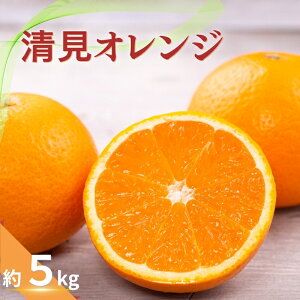 yӂ邳Ɣ[Łz yƒpzIW 5kg y2026N3{`{돇\i͂wsjzIW IW ݂ ~J k t[c ʕ  lC 