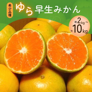 yӂ邳Ɣ[Łz yƒpzy󏭕izƒp ݂ 瑁݂yIׂeʁz 2kg / 4kg / 5kg / 7kg / 10kg y2025N10{菇\z