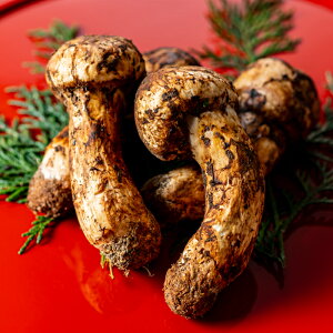 �y�ӂ邳�Ɣ[�Łz �a�̎R���Y ���荂���󏭂ȍ��Y ���� ��300g�y2026�N10�����{����菇�������z�yOKT2�z | ��� �₳�� �H�i �l�C �������� ��������