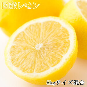 yӂ邳Ɣ[Łz yYza̎RY5kgiTCYjy2026N3{`2026N5{zyTM129z