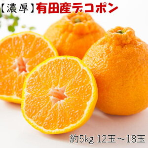 yӂ邳Ɣ[Łz yZzIBLcY̑ʃfR|5kgi12ʁ`18ʓEGȏjy2026N1{`2026N3{菇zyTM25z
