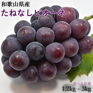 yӂ邳Ɣ[Łz yVNEYza̎R炬Y˂ȂsI[l1.2kg^2kg^3kg y2026N8{`2026N9{ɏ\z | t[c ʕ  Hi lC  