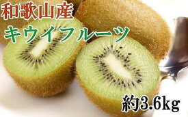 【ふるさと納税】 和歌山かつらぎ町産キウイフルーツ約3.6kg（玉数おまかせ）秀品【2026年1月中旬〜2026年3月上旬頃順次発送】