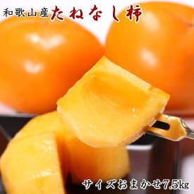 【ふるさと納税】 和歌山産たねなし柿（サイズおまかせ）約7.5kg・秀品【2025年10月上旬から11月上旬頃順次発送】【TM10】 | 柿 たねなし柿 果物 フルーツ 和歌山ご家庭用 和歌山 特産品 先行予約 お取り寄せ