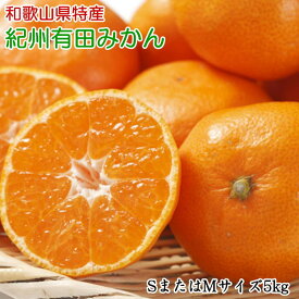 【ふるさと納税】 [秀品]和歌山有田みかん約5kg(SまたはMサイズ) 【2026年11月中旬～2027年1月中旬頃発送】【TM97】