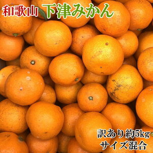 yӂ邳Ɣ[Łz y󂠂za̎RÂ݂5kgƒp(TCY) y2025N11{2026N1{zyTM77z