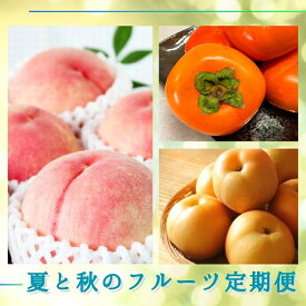 【ふるさと納税】 【7・8・10月 全3回】紀州和歌山産旬のフルーツセット（桃・梨・ひらたねなし柿）定期便 【魚鶴】【UT68】 | フルーツ 果物 くだもの 食品 人気 おすすめ 送料無料