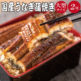 【ふるさと納税】 大型サイズ ふっくら柔らか 国産うなぎ蒲焼き 2尾【順次発送】