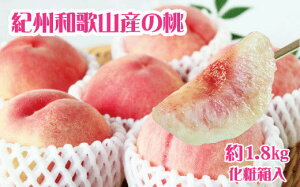 yӂ邳Ɣ[Łz IBa̎RY̓@1.8kg@ϔy2026N6{`2026N8{ɏ\zyUT52z
