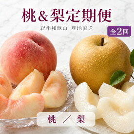 【ふるさと納税】 【全2回】かつらぎ町のフルーツ定期便（桃・梨）【7月・8月】