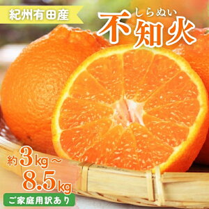 yӂ邳Ɣ[Łz y󂠂EƒpzIBLcYsm(ʂ) 3kg 6kg 8.5kg y2026N2{`2026N3{ɏ\zys\z | t[c ʕ  Hi lC 