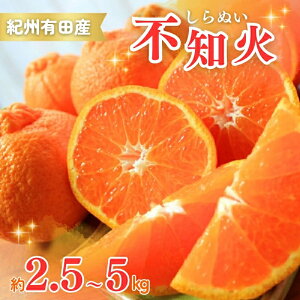 yӂ邳Ɣ[Łz IBLcYsm(ʂ) 2.5kg 5kg y2026N2{`2026N3{ɏ\zys\z | t[c ʕ  Hi lC   Yn