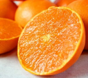 yӂ邳Ɣ[Łz y󂠂EƒpzIBa̎RYƂ 3kg 5kg y2026N2{`2026N3{\zys\z | t[c ʕ  Hi lC   Y