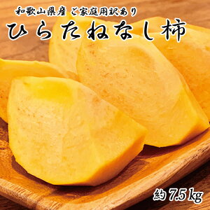 yӂ邳Ɣ[Łz y󂠂Eƒpzj`iЂ炽˂Ȃj7.5kg a̎RH̖oy2025N10{`2025N10\zyUT32wz