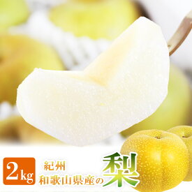 【ふるさと納税】 梨 約2kg 化粧箱入 紀州和歌山 かつらぎ産【2026年8月中旬頃～2026年9月上旬頃に順次発送予定】【UT103】