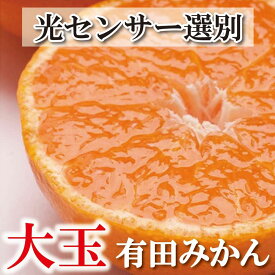 【ふるさと納税】＜11月より発送＞家庭用 大きな有田みかん5kg+150g（傷み補償分）訳あり | フルーツ 果物 くだもの 食品 人気 おすすめ 送料無料