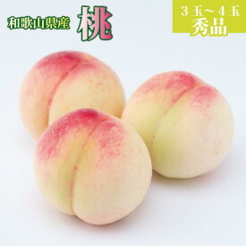 【ふるさと納税】和歌山県産　桃　3玉～4玉 約1kg　秀品　【6月中旬～8月下旬頃発送予定】 | もも 桃 モモ 秀品 1kg 甘い ジューシー ふるさと納税 和歌山 先行予約 果物 品種 送料無料 産地直送 絶品 濃厚 特産品 名産品