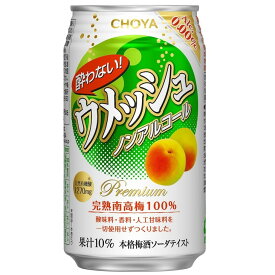 【ふるさと納税】チョーヤ　酔わないウメッシュ　ノンアルコール　350ml缶×48本（2ケース）