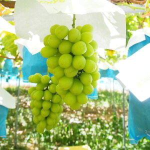 yӂ邳Ɣ[Łz ylCzVC}XJbg(1`3[)y2026N8{`9{\zyKF11z | t[c ʕ  Hi lC   Hה  s\ ʌ