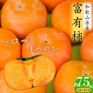 yӂ邳Ɣ[Łz gƂ܂₩@xL`(7.5kg)y2025N11{`{\z