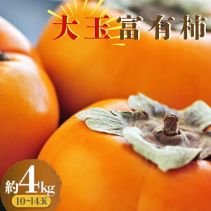 yӂ邳Ɣ[Łz yizʕxL`(4kg)y2025N11{`{\z
