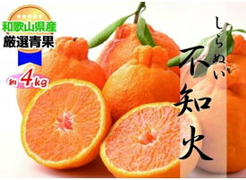 【ふるさと納税】 【甘さ絶品】しらぬい(約4kg) 【2026年2月中旬〜2026年3月下旬発送】