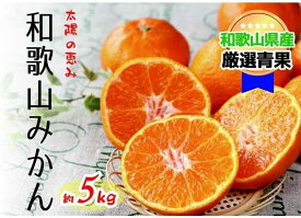 【ふるさと納税】 【太陽の恵み】和歌山みかん(約5kg) 【2025年12月上旬〜2026年1月下旬発送】