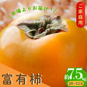 yӂ邳Ɣ[Łz y󂠂EƒpzyzƒpxL`i7.5kgjy2025N11{`{\z