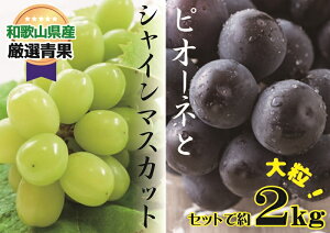 yӂ邳Ɣ[Łz lC Ԃǂ Zbg 2kg VCsI[l y8{`{z