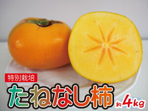 yӂ邳Ɣ[Łz ʍ͔| ˂Ȃ` 4kg y2025N10菇z