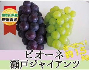 yӂ邳Ɣ[ŁzsI[l˃WCAc 1.5kg Hהׁy2026N8{`2026N9{z/ a̎R 炬 Yn }XJbg Ԃǂ  Â W[V[ sI