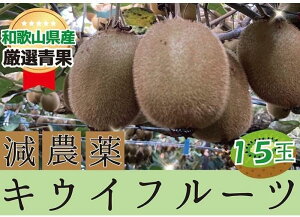 yӂ邳Ɣ[Łz LECt[c Gi wC[h 15ʁy2025N11{`2026N4{z/ LEC t[c a̎R 炬 {   Â XC[c fU[g r^~ 