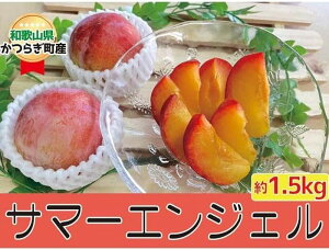 �y�ӂ邳�Ɣ[�Łz �������Z�󏭕i��Z�y�T�}�[�G���W�F���z��1.5kg�y2026�N7����{���`7�����{�����\��z| �t���[�c �ʕ� �������� �H�i �l�C �������� �������� �a�̎R�� ���炬���yA253-frks