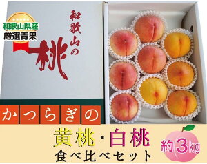 �y�ӂ邳�Ɣ[�Łz �����炬�̉����E�����H�ה�׃Z�b�g�� 9�`12�ʁy2026�N6�����{�`2026�N8����{���������z | ���� �t���[�c �ʕ� �������� �H�i �l�C �������� �������� �yA257-frks150�z