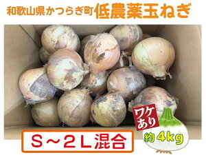 yӂ邳Ɣ[Łz y2026NEs\zy󂠂z_Ƃ񒼑@_ʂ˂@4kg@S`2Ly2026N4{`7{\z |  ₳ Hi lC  