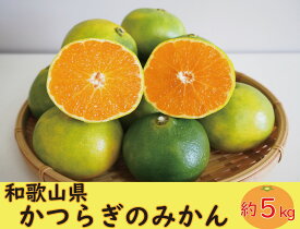 【ふるさと納税】 【訳あり・ご家庭用】かつらぎのみかん 約5kg S～Lサイズ混合【2026年9月中旬～11月下旬頃発送予定】/ 和歌山県 かつらぎ町 みかん 柑橘 温州みかん 爽やか ジューシー オリジナル品種【A273-frks166】