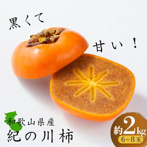 yӂ邳Ɣ[ŁzĊÂ I̐` 2kg a̎RIWiy2025N10{`2025N11{딭\zyKF03z | `  t[c ʕ  Hi lC  