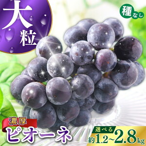 【ふるさと納税】 種なしピオーネ<ぶどう 約1.2kg 約2kg 約2.5kg 約2.8kg >【2026年8月下旬〜9月中旬頃発送予定】 | 果物 フルーツ ぶどう 葡萄 ブドウ スイーツ かつらぎ町産 青果 食品 人気 おす