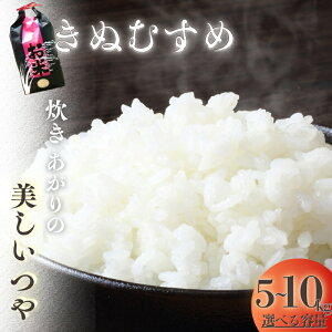 yӂ邳Ɣ[Łz RL R [̐ yɈĂꂽ ʂނ 5kg / 10kg ( 5kg×2 ) 2025Nn yIׂeʁz y11{`12{\z