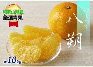 yӂ邳Ɣ[Łz yՂՂHz(10kg)y2{`\z