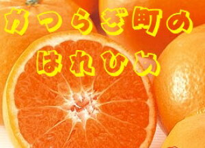 yӂ邳Ɣ[Łz 󏭕iI݂̊ÖƃIW̍I ͂Ђ(10kg)y2025N12{`2026N2{z