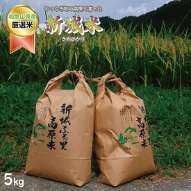 【ふるさと納税】 【特選】新城米(きぬひかり約5kg)＜2025年収穫＞【2025年9月下旬から2026年1月下旬に順次発送】