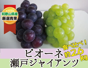 yӂ邳Ɣ[ŁzsI[l˃WCAc 2.6kg Hהׁy2026N8{`2026N9{z/ a̎R 炬 Yn }XJbg Ԃǂ  Â W[V[ sI